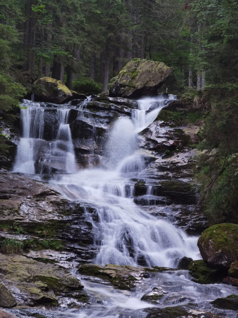 Die Rißlochwasserfälle sind umgeben von Wald